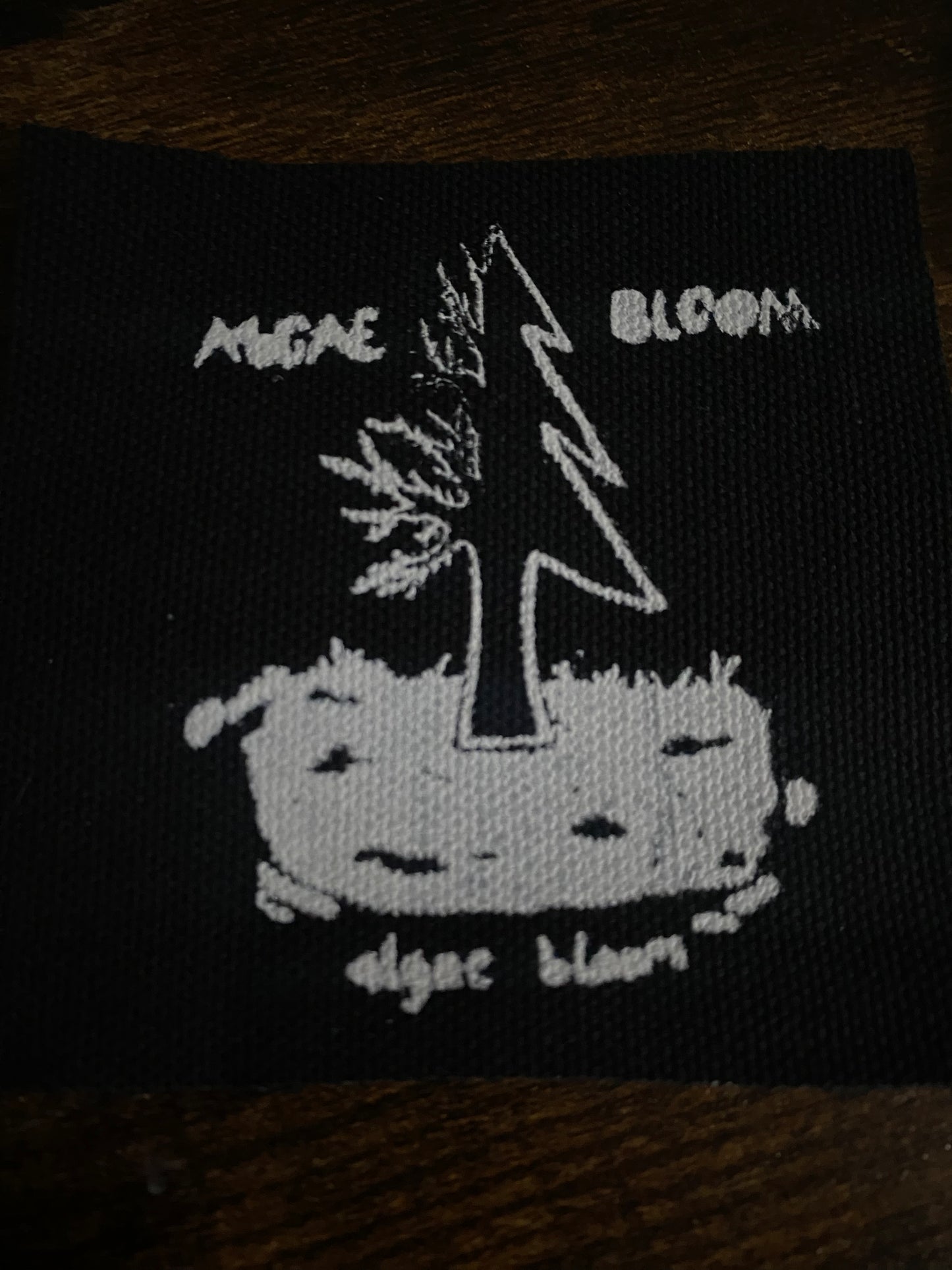 ALGAE BLOOM PATCH